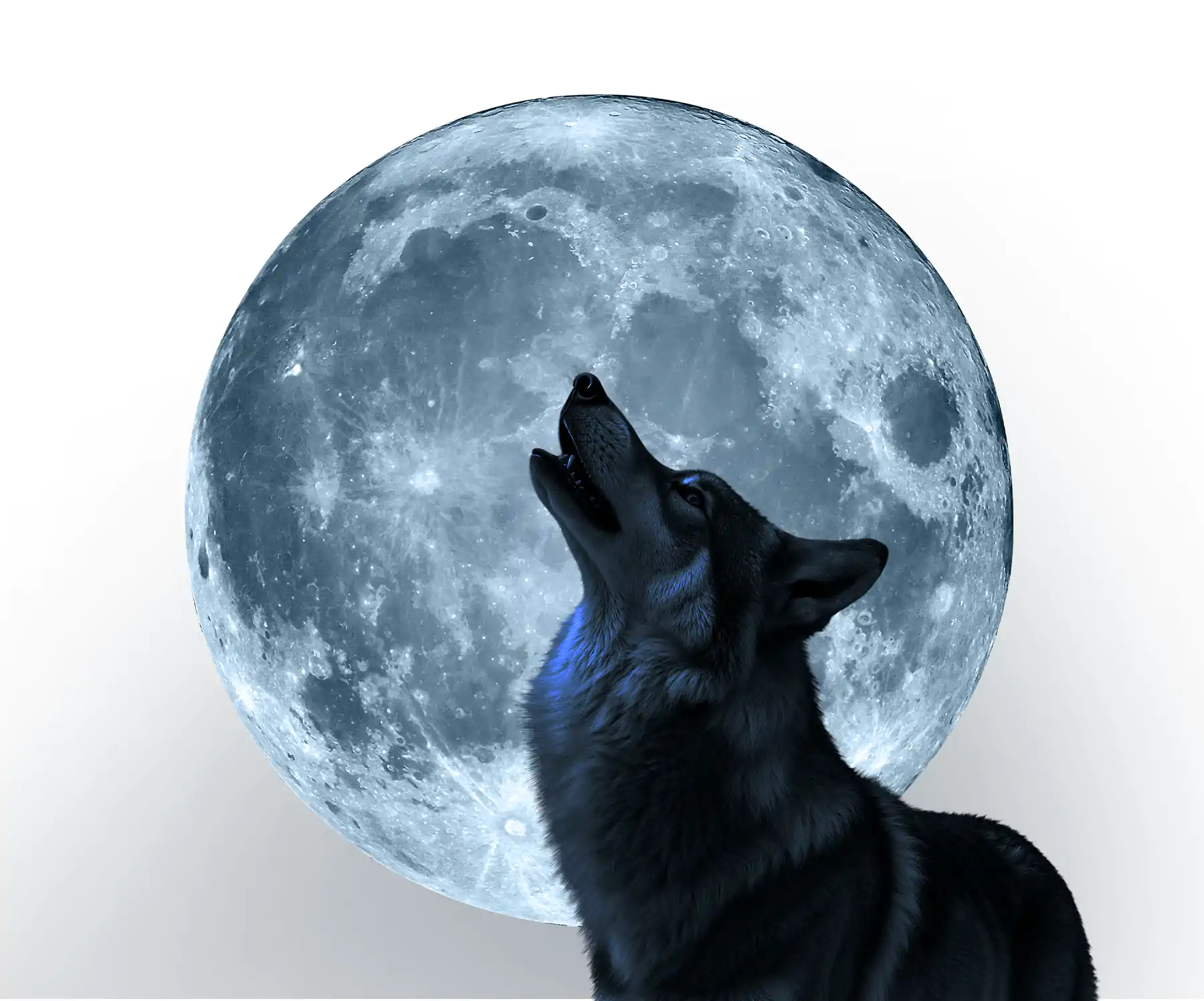 Lobo Gris y Luna
